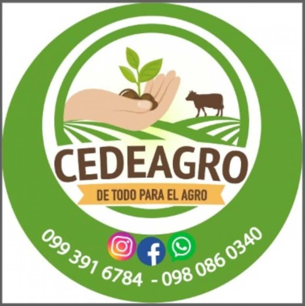  Foto Turba compactada Jiffy para Balsa, Boya, Forestales Frutales, ornamentales y hortalizas
