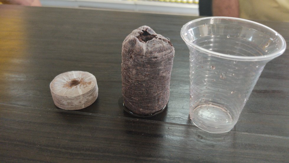  Foto Turba compactada Jiffy para Balsa, Boya, Forestales Frutales, ornamentales y hortalizas