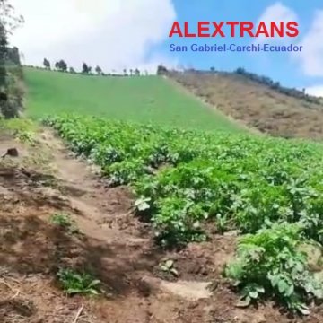 Cultivo por cosecha