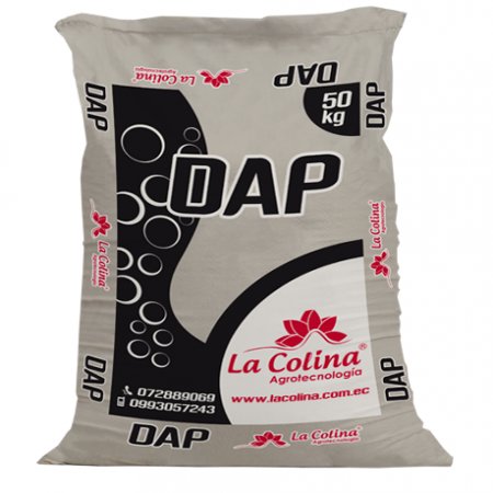 DAP