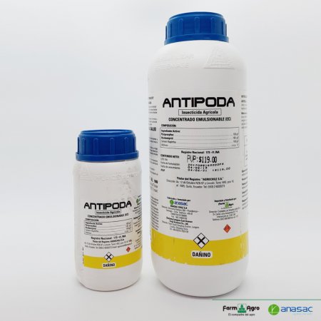 ANTIPODA