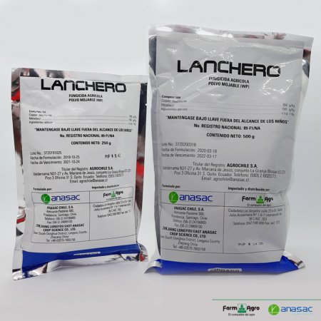 LANCHERO