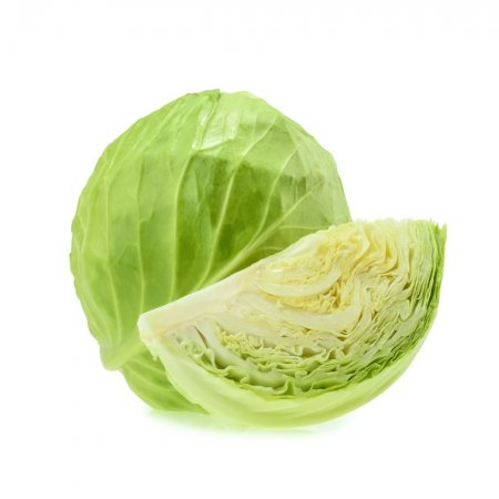 Repollo