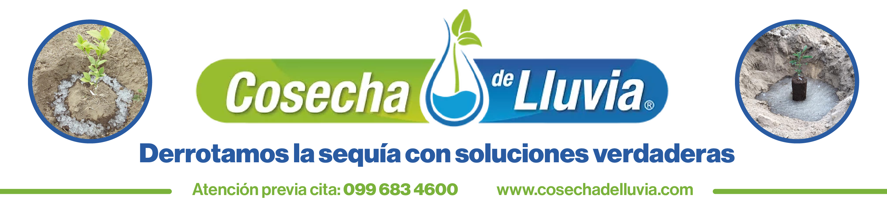 Cosecha de LUVIA